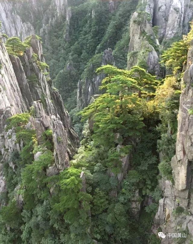 生化危机2